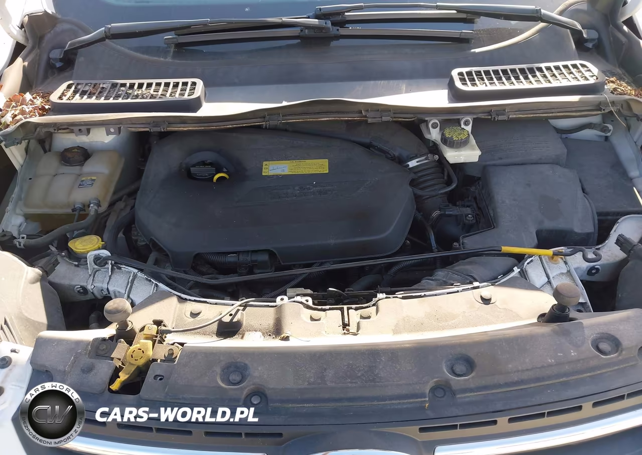 2013 Ford Escape Se VIN:1FMCU0GX5DUD62937 - 10