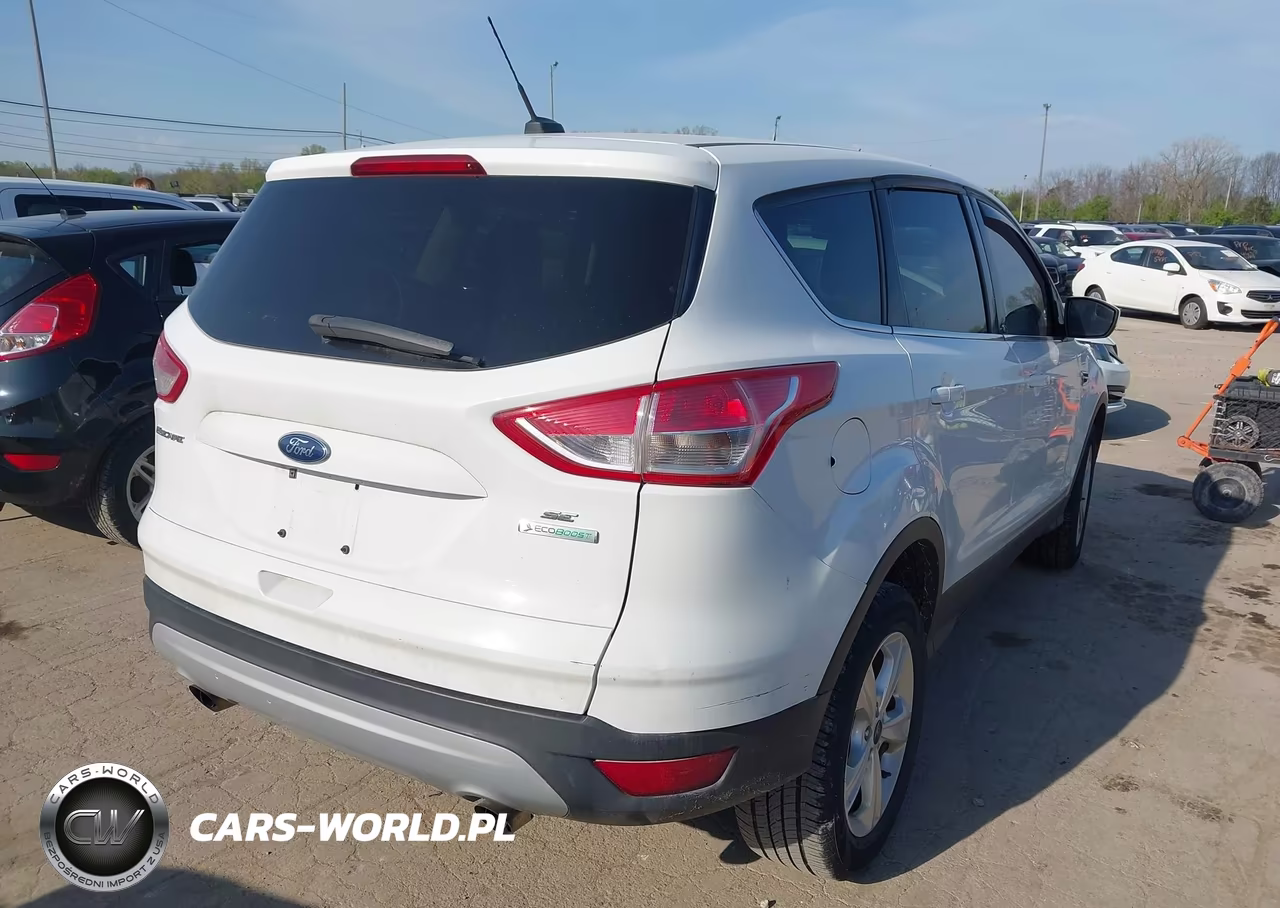 2013 Ford Escape Se VIN:1FMCU0GX5DUD62937 - 4