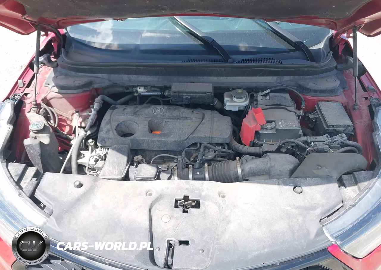 2019 Acura Rdx A-Spec Package VIN:5J8TC2H61KL035710 - 10