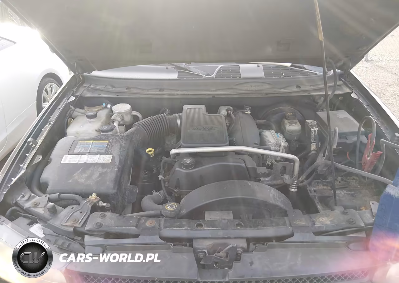 2004 Chevrolet Trailblazer Lt VIN:1GNDT13S742421162 - 10