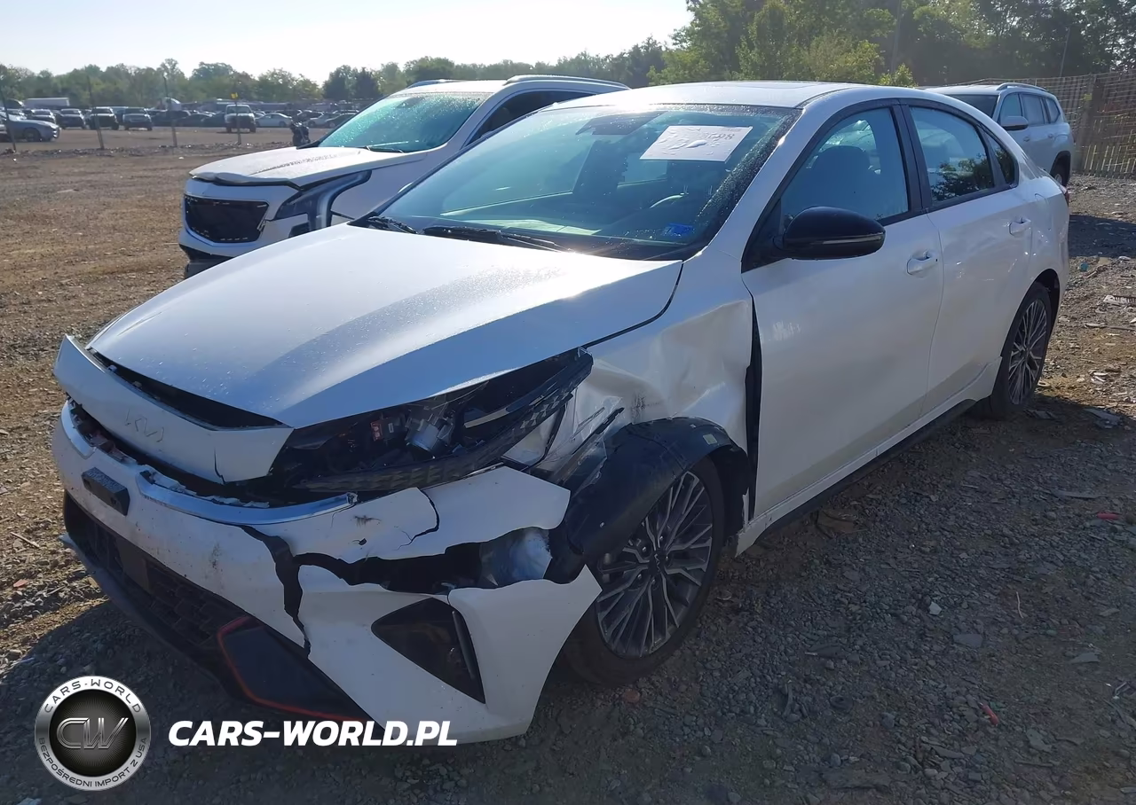 2024 Kia Forte Gt-Line VIN:3KPF54AD8RE691769 - 2