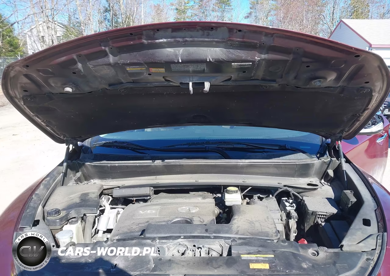 2019 Infiniti Qx60 Luxe VIN:5N1DL0MN9KC524016 - 10