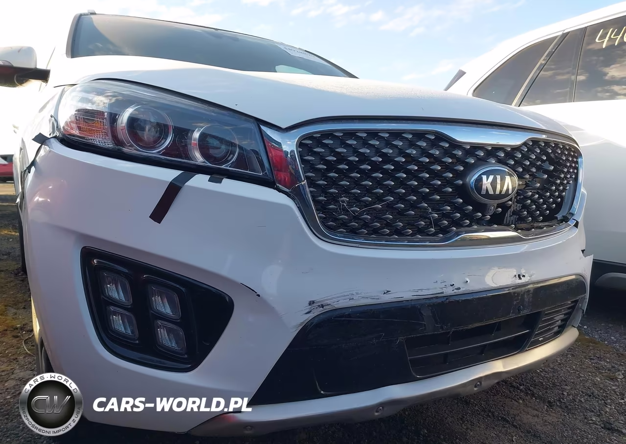 2016 Kia Sorento 2.0T Sxl VIN:5XYPKDA11GG103701 - 17