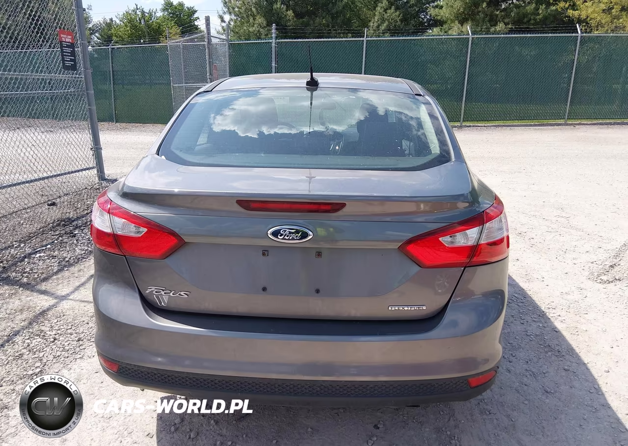 2013 Ford Focus S VIN:1FADP3E24DL208871 - 17