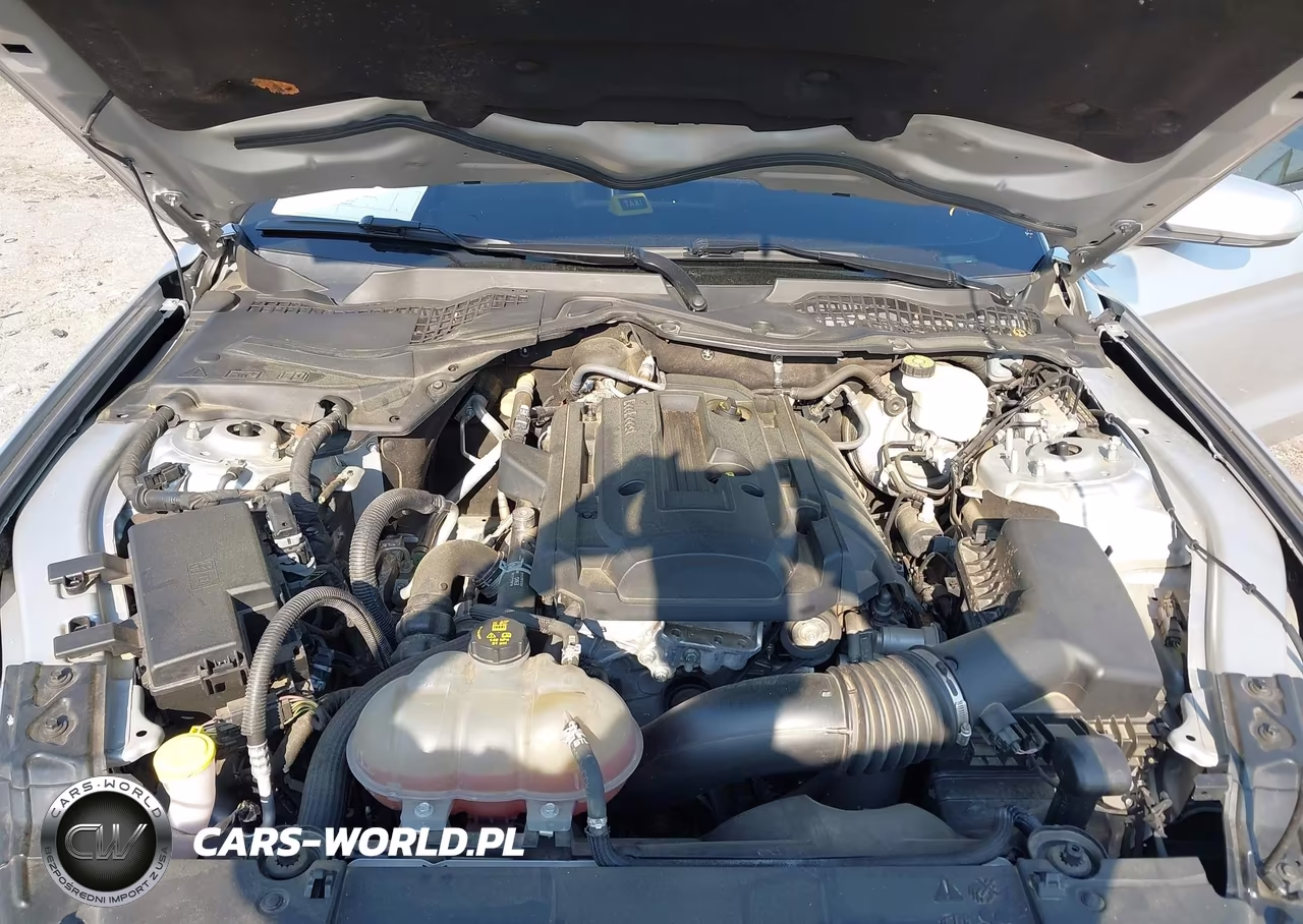 2018 Ford Mustang Ecoboost VIN:1FA6P8TH3J5182552 - 10