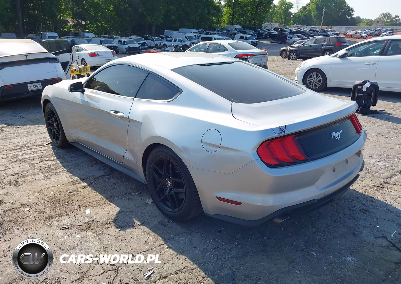 2018 Ford Mustang Ecoboost VIN:1FA6P8TH3J5182552 - 3
