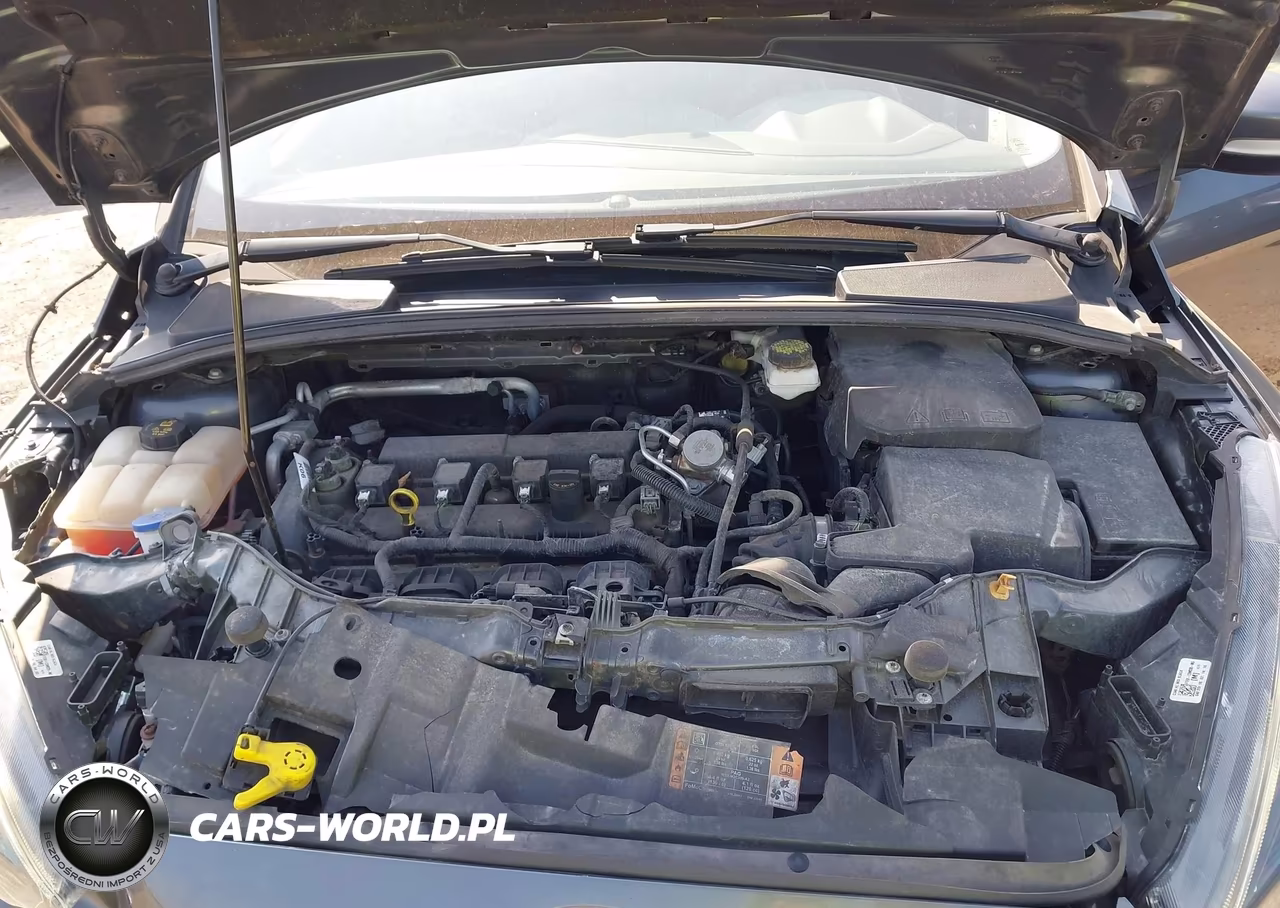 2018 Ford Focus Sel VIN:1FADP3M26JL321167 - 10