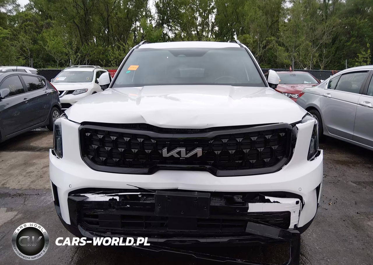 2024 Kia Telluride Sx Prestige X-Line VIN:5XYP5DGC3RG511961 - 12