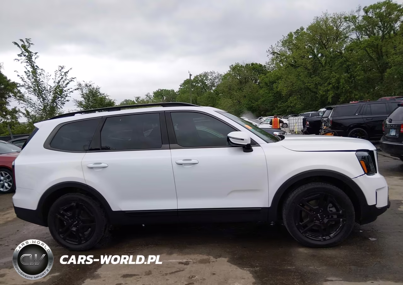 2024 Kia Telluride Sx Prestige X-Line VIN:5XYP5DGC3RG511961 - 13
