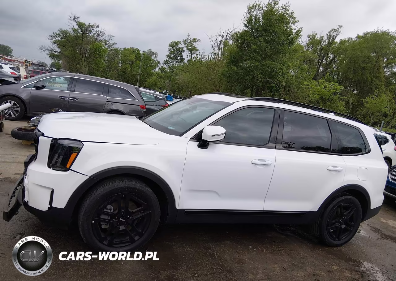 2024 Kia Telluride Sx Prestige X-Line VIN:5XYP5DGC3RG511961 - 14