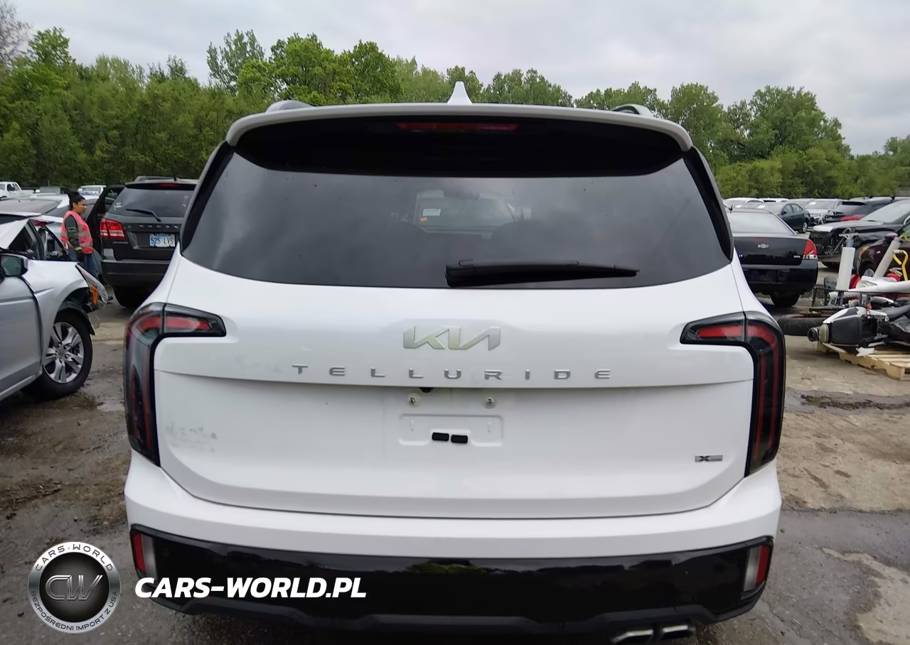 2024 Kia Telluride Sx Prestige X-Line VIN:5XYP5DGC3RG511961 - 16