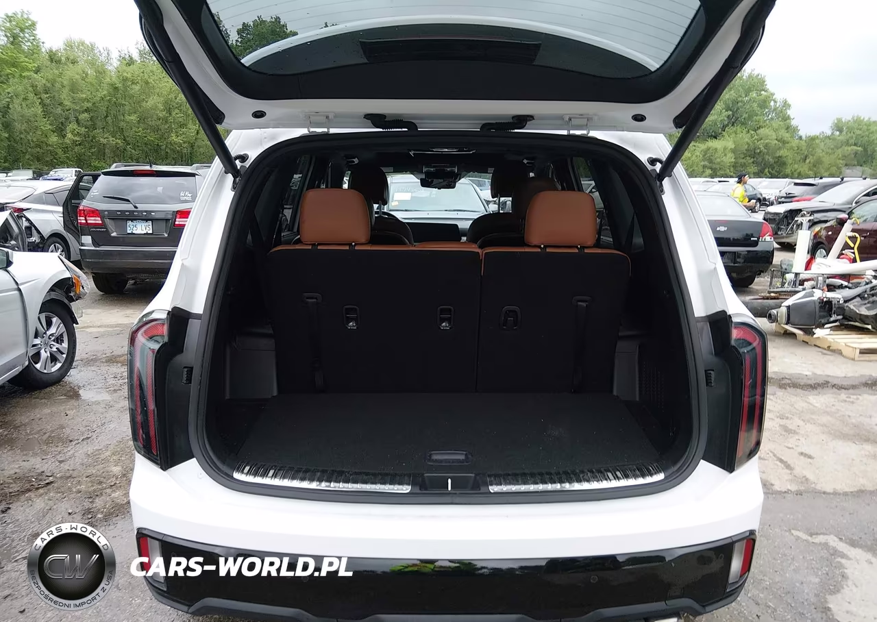 2024 Kia Telluride Sx Prestige X-Line VIN:5XYP5DGC3RG511961 - 17