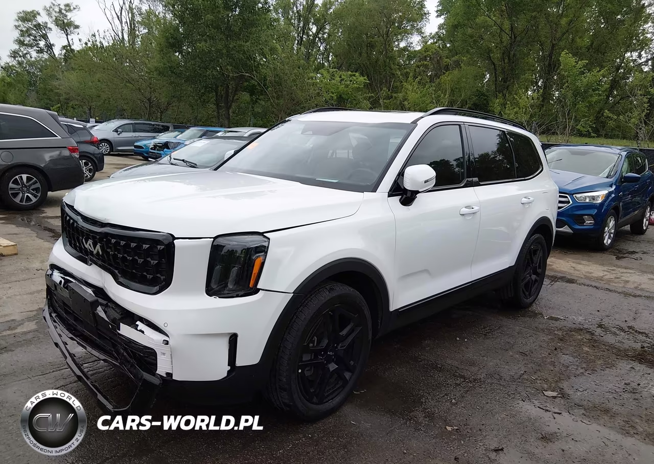 2024 Kia Telluride Sx Prestige X-Line VIN:5XYP5DGC3RG511961 - 2
