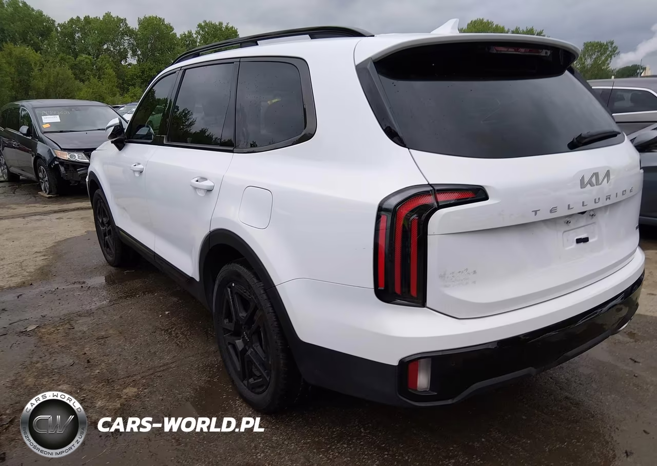 2024 Kia Telluride Sx Prestige X-Line VIN:5XYP5DGC3RG511961 - 3