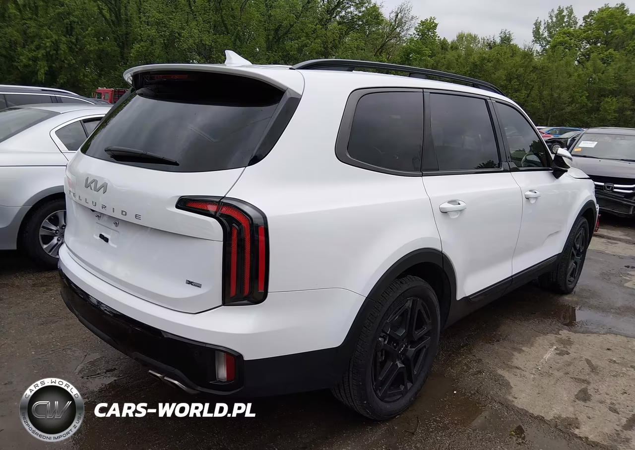 2024 Kia Telluride Sx Prestige X-Line VIN:5XYP5DGC3RG511961 - 4