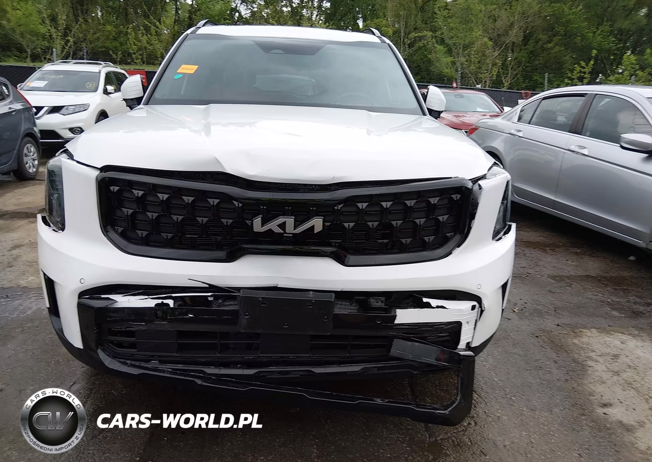 2024 Kia Telluride Sx Prestige X-Line VIN:5XYP5DGC3RG511961 - 6