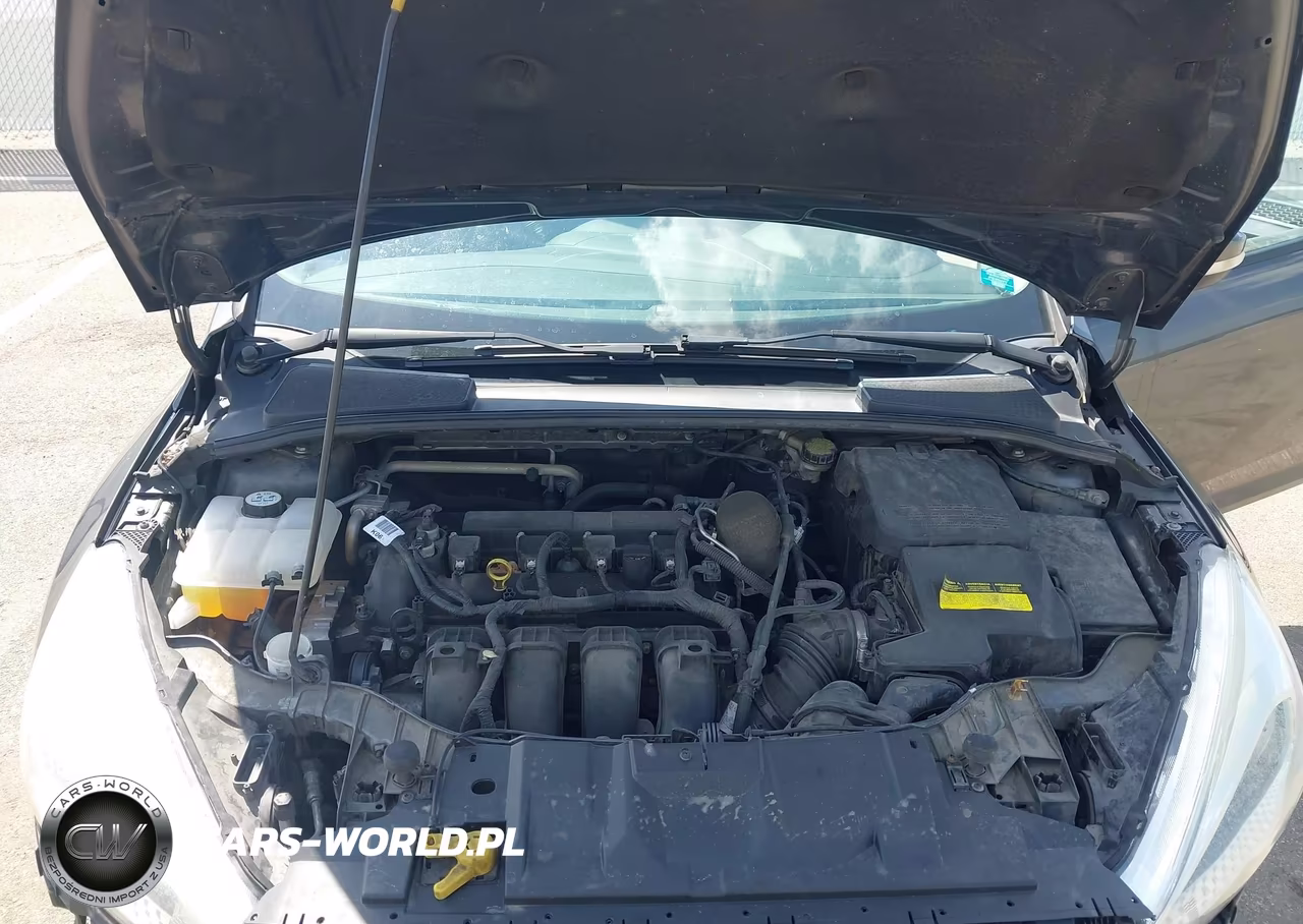 2016 Ford Focus Se VIN:1FADP3K25GL265816 - 10