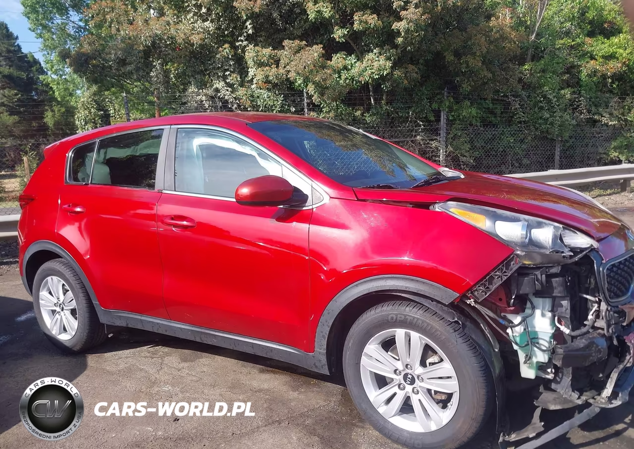 2019 Kia Sportage Lx VIN:KNDPM3AC1K7615258 - 12