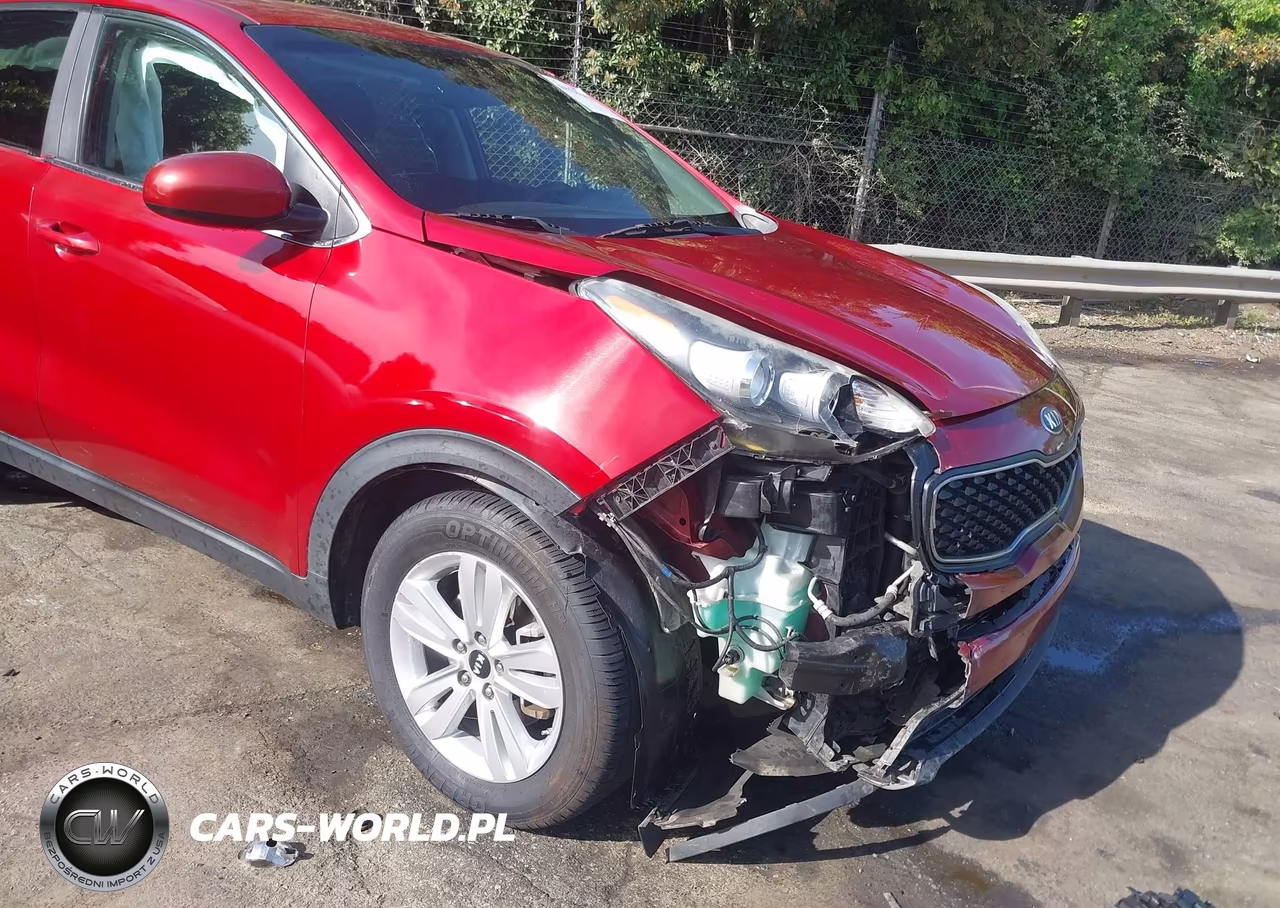 2019 Kia Sportage Lx VIN:KNDPM3AC1K7615258 - 6