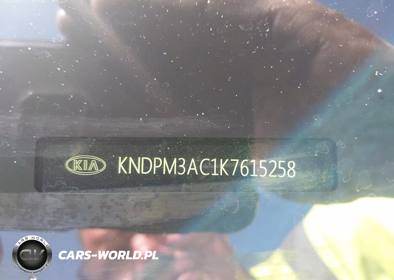 2019 Kia Sportage Lx VIN:KNDPM3AC1K7615258 - 9
