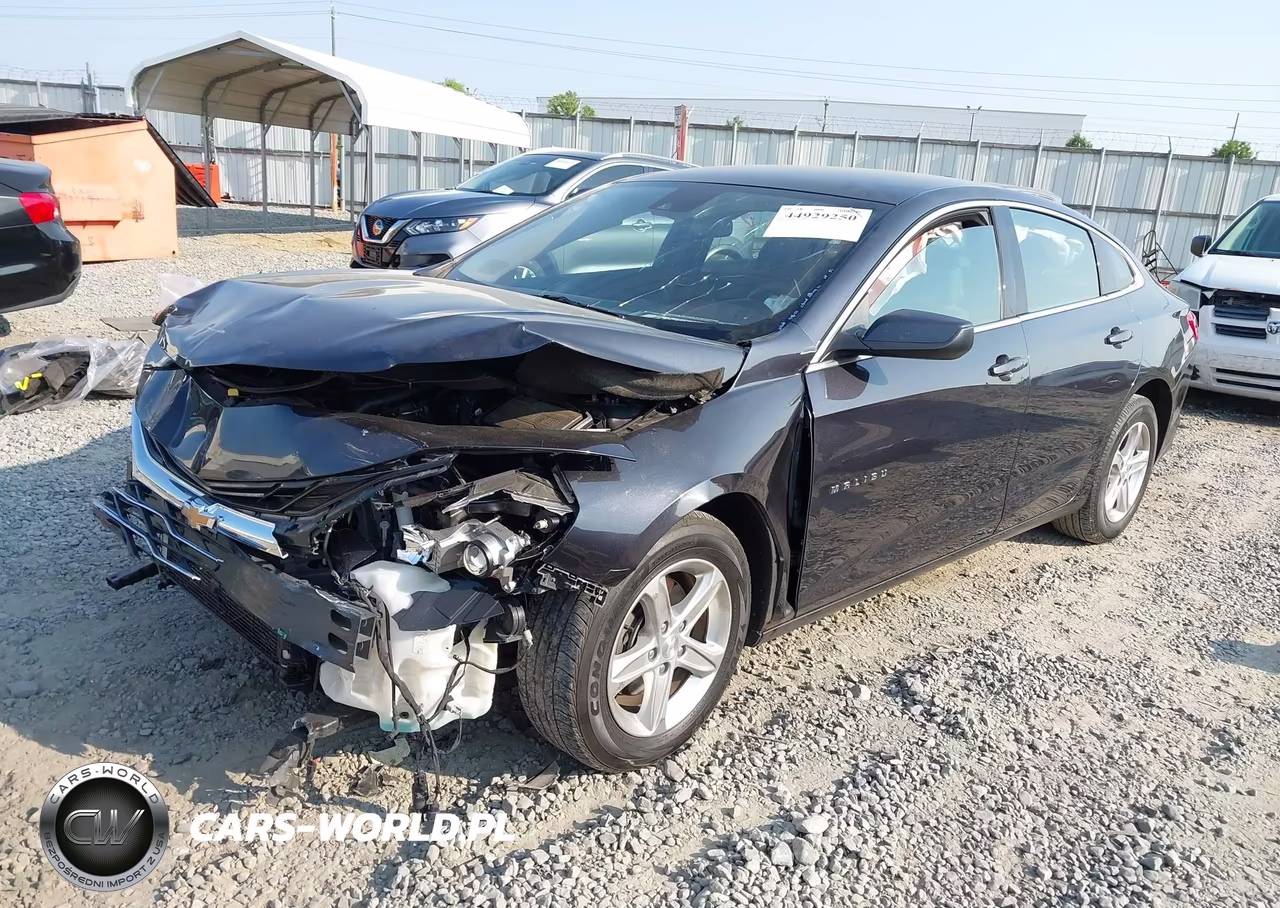 2023 Chevrolet Malibu Fwd 1Lt VIN:1G1ZD5ST7PF228917 - 2