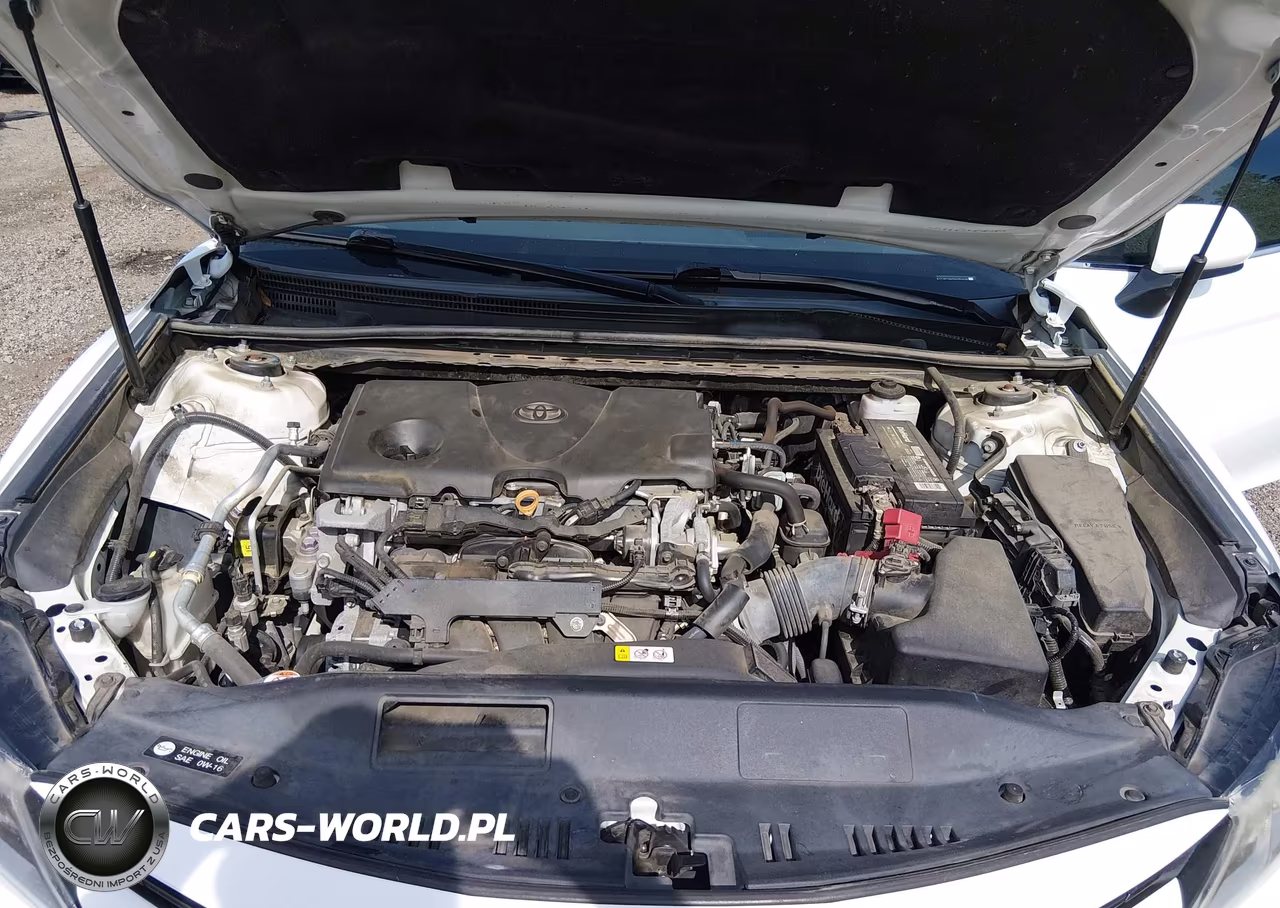 2019 Toyota Camry Le VIN:4T1B11HK5KU754018 - 10