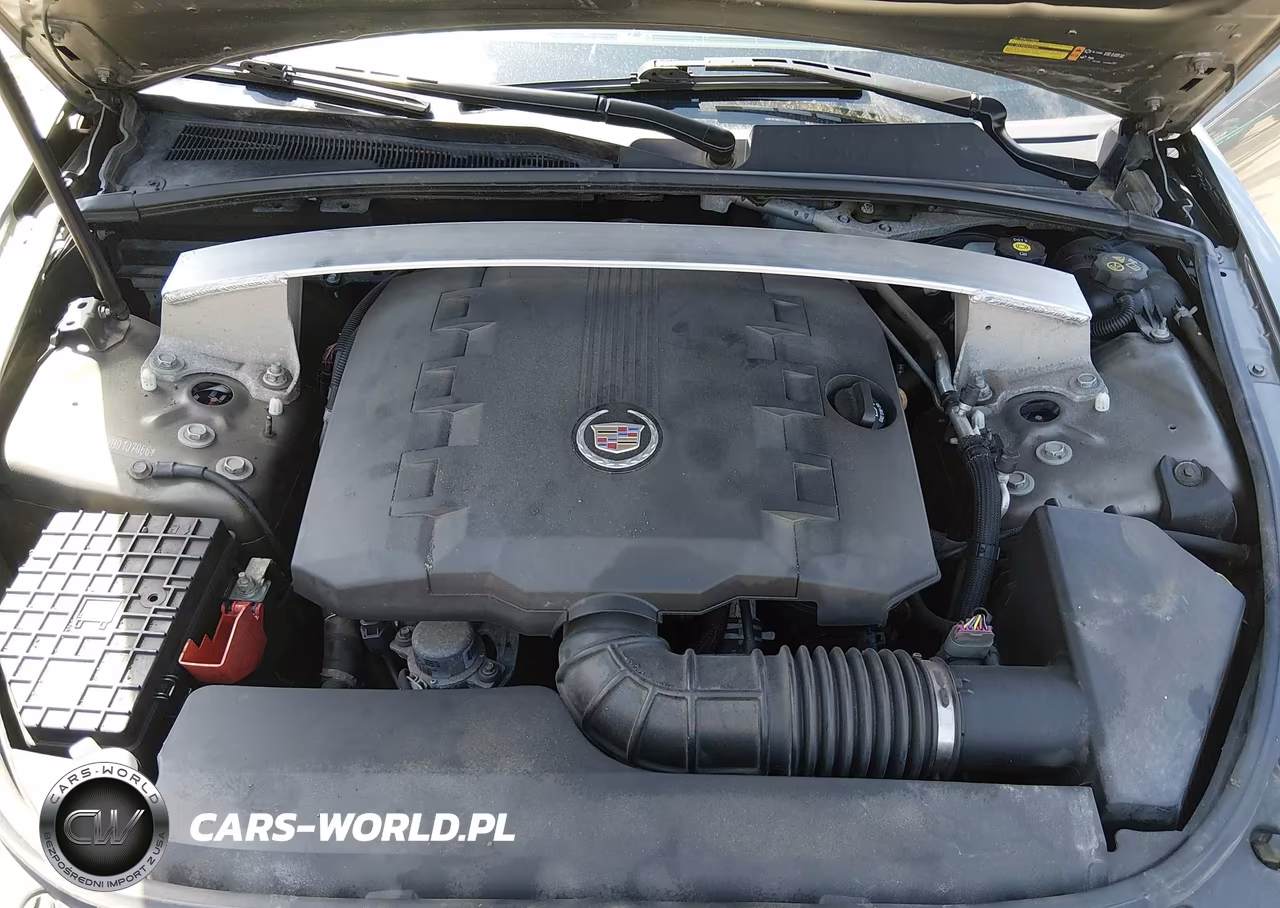 2011 Cadillac Cts Luxury VIN:1G6DH5EYXB0107066 - 10