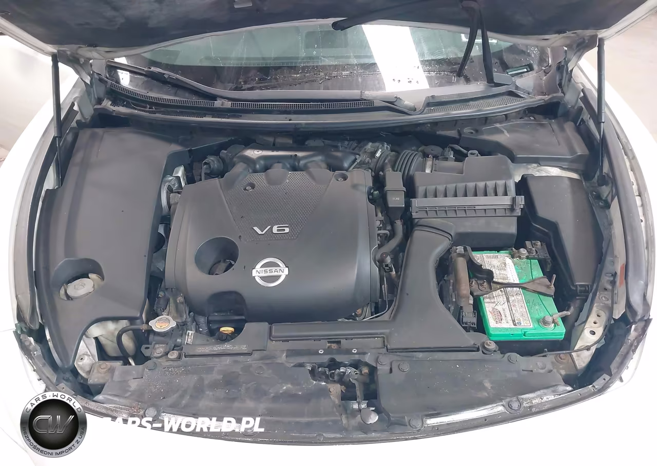 2009 Nissan Maxima 3.5 Sv VIN:1N4AA51E89C800698 - 10