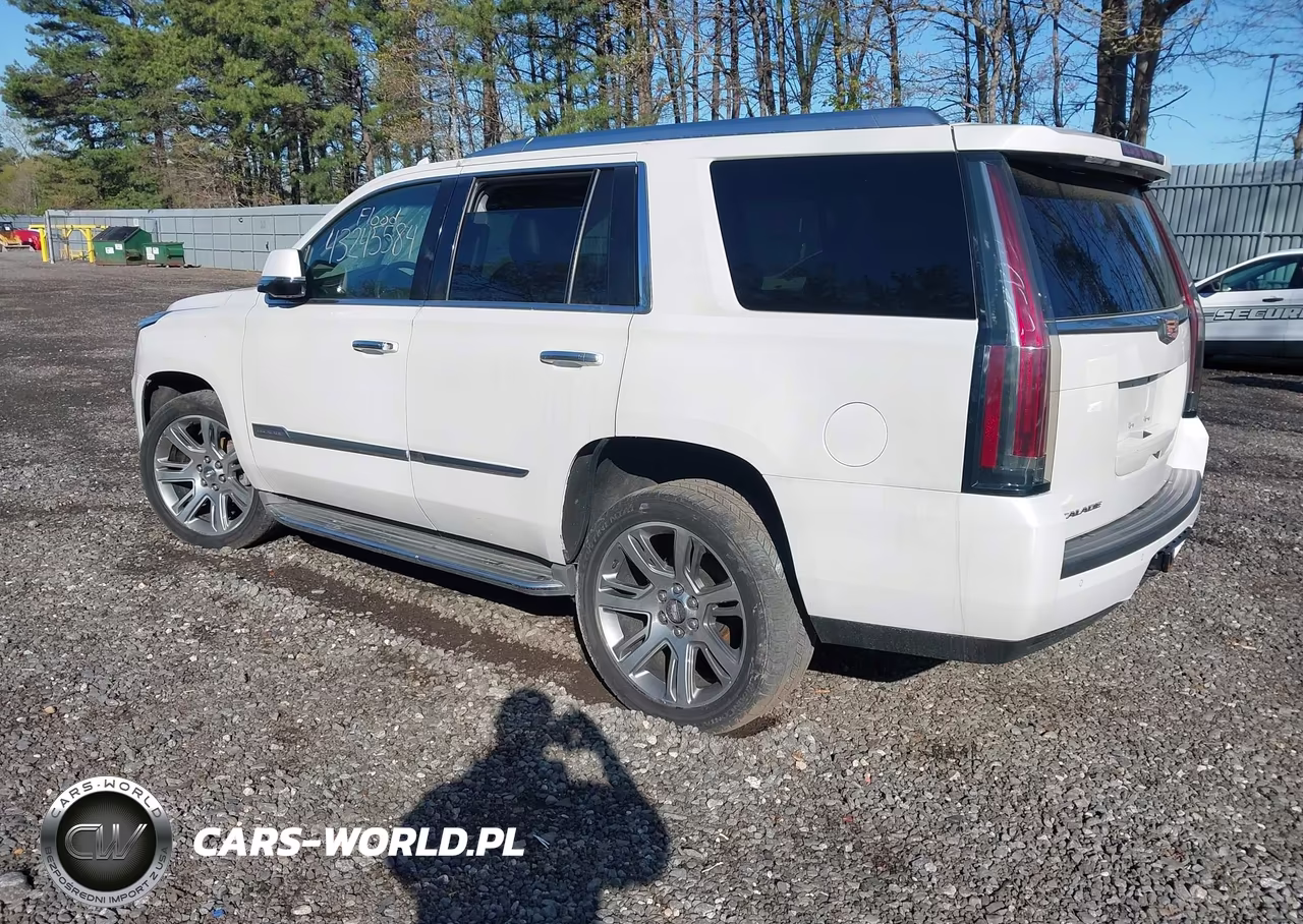 2016 Cadillac Escalade Luxury Collection VIN:1GYS4BKJ9GR303485 - 3