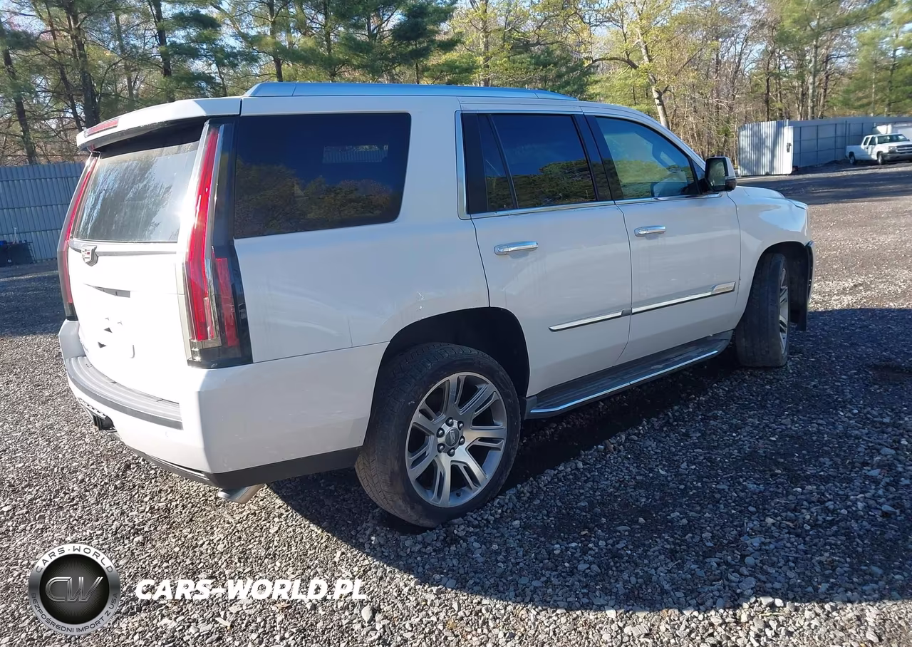 2016 Cadillac Escalade Luxury Collection VIN:1GYS4BKJ9GR303485 - 4