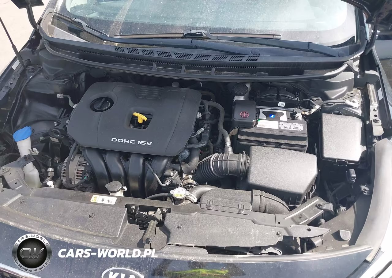 2018 Kia Forte Lx VIN:3KPFL4A74JE168995 - 10