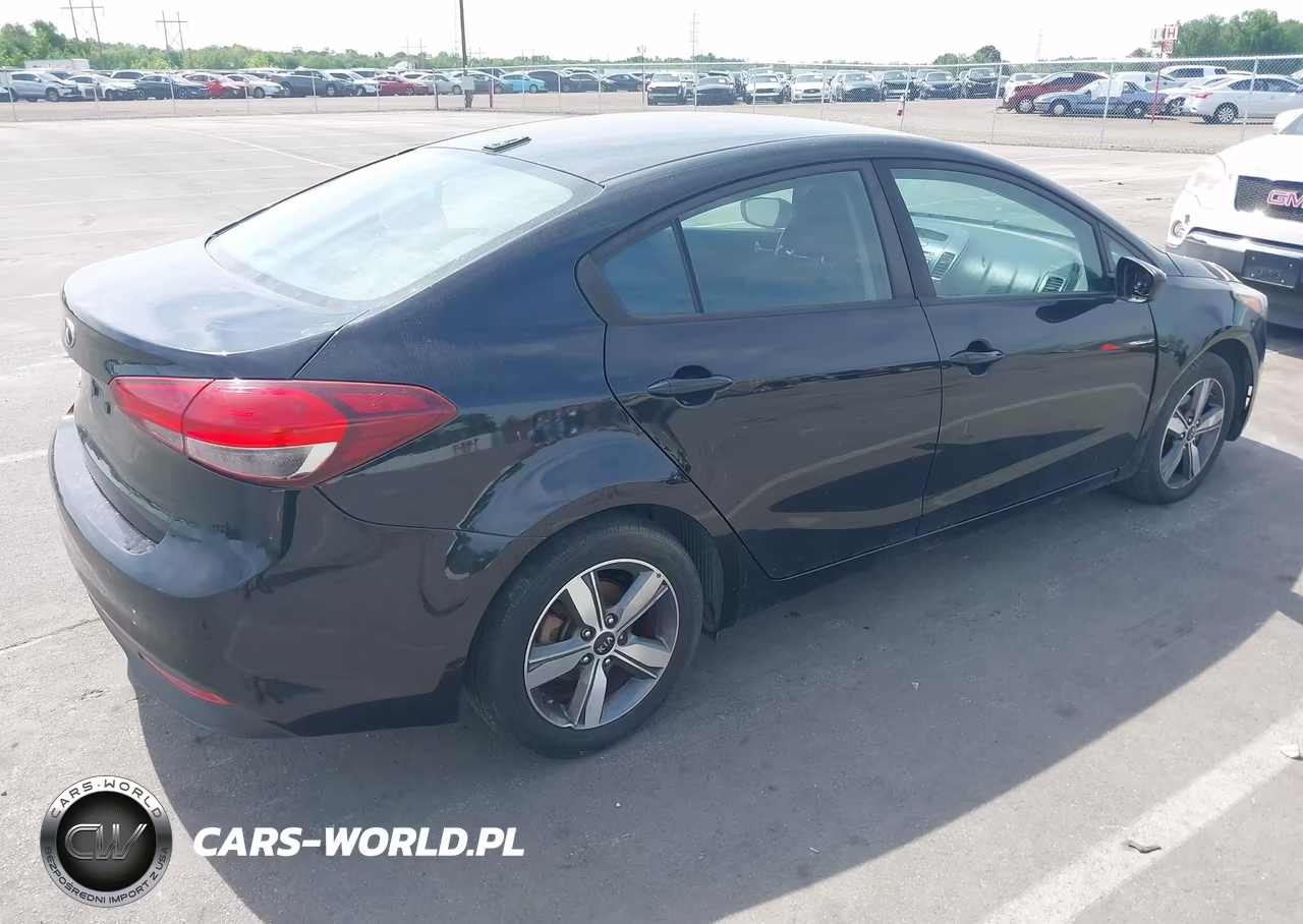 2018 Kia Forte Lx VIN:3KPFL4A74JE168995 - 4
