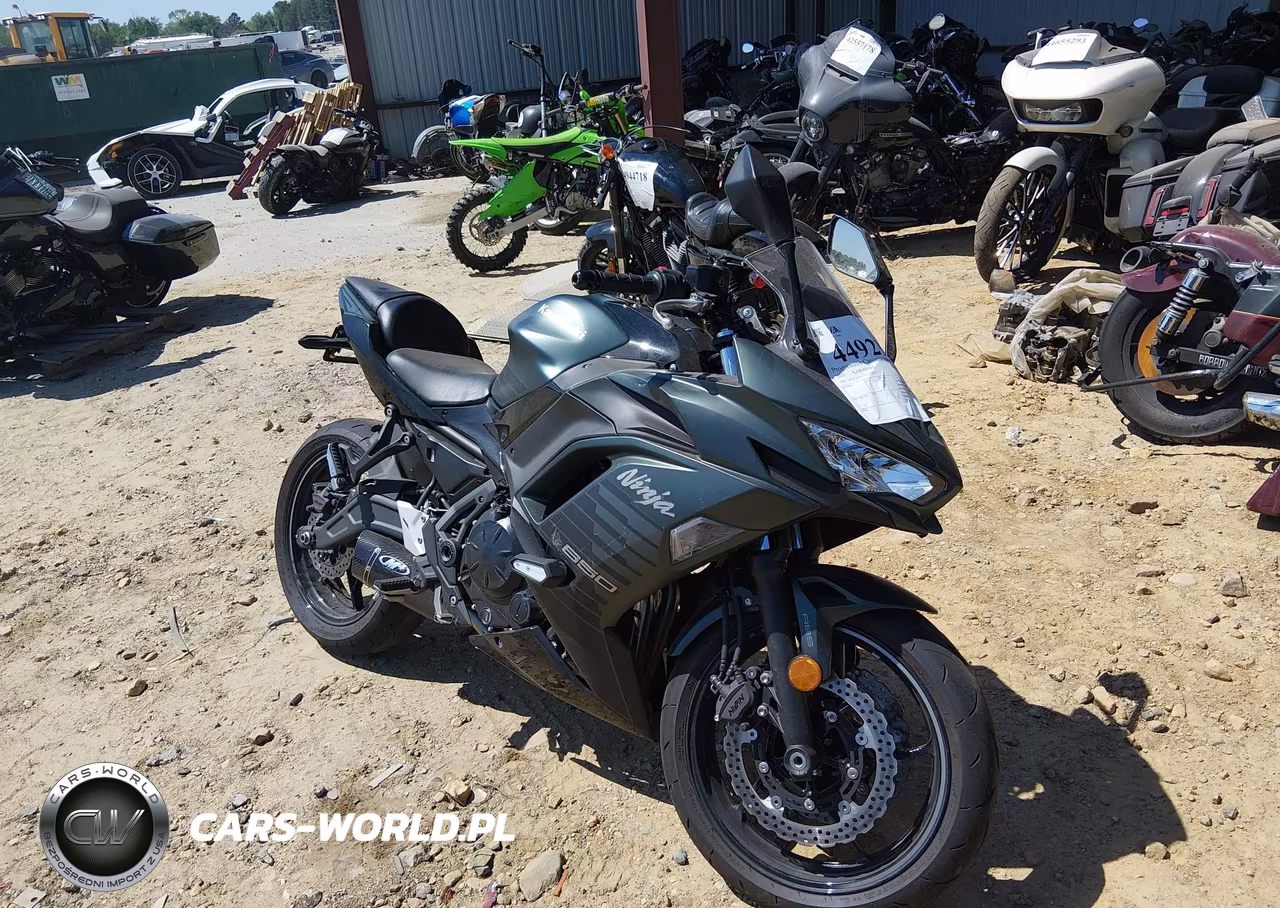 2025 Kawasaki Ex650 P