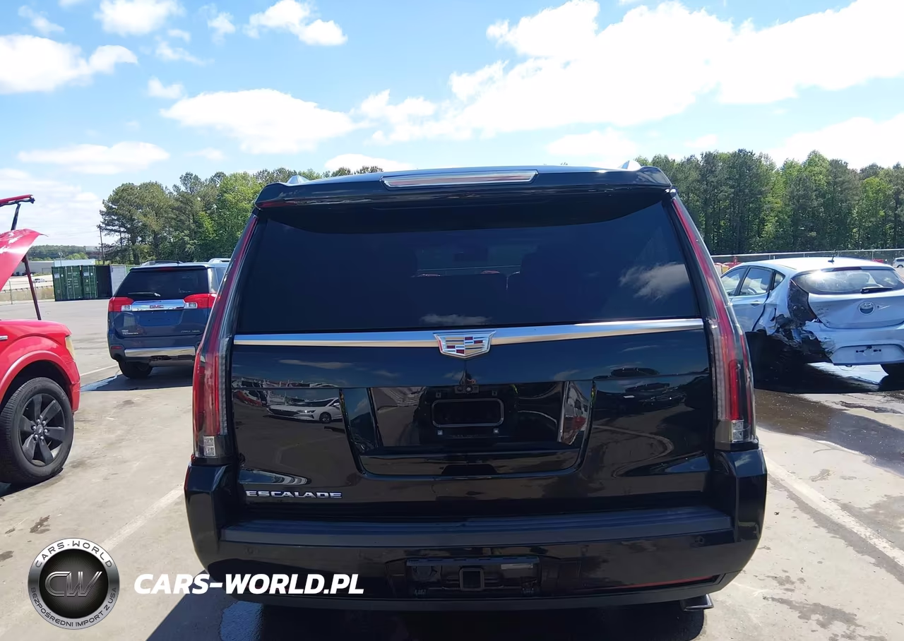 2017 Cadillac Escalade Premium Luxury VIN:1GYS4CKJ0HR270318 - 16