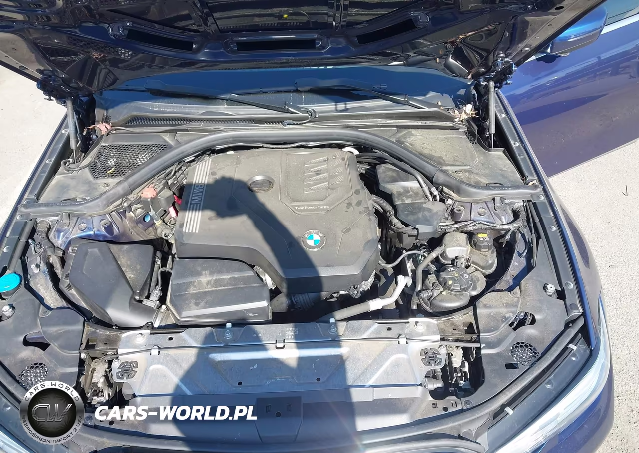 2020 BMW 330I VIN:3MW5R1J06L8B33207 - 10