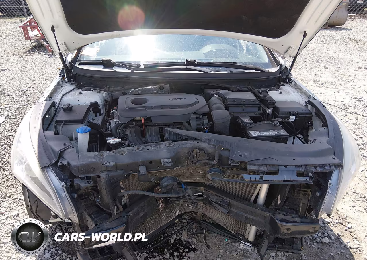2016 Hyundai Sonata Sport VIN:5NPE34AF8GH376417 - 10