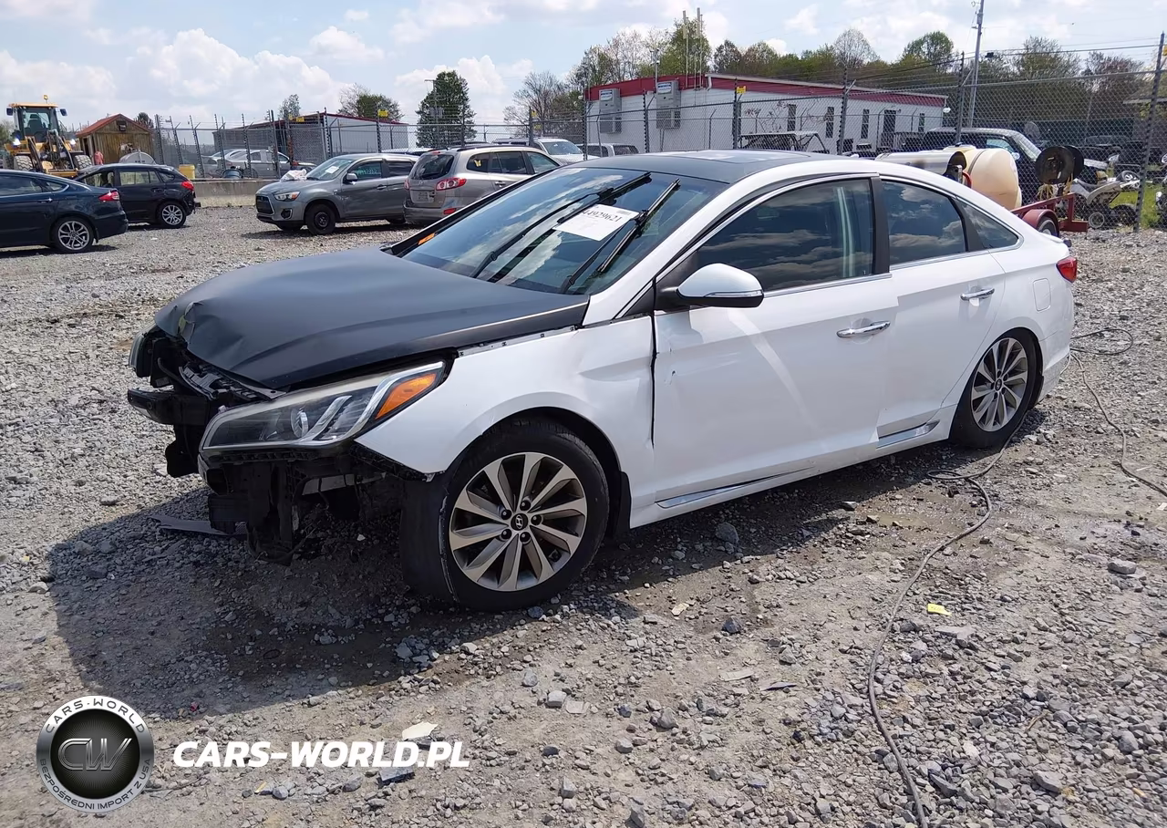 2016 Hyundai Sonata Sport VIN:5NPE34AF8GH376417 - 2