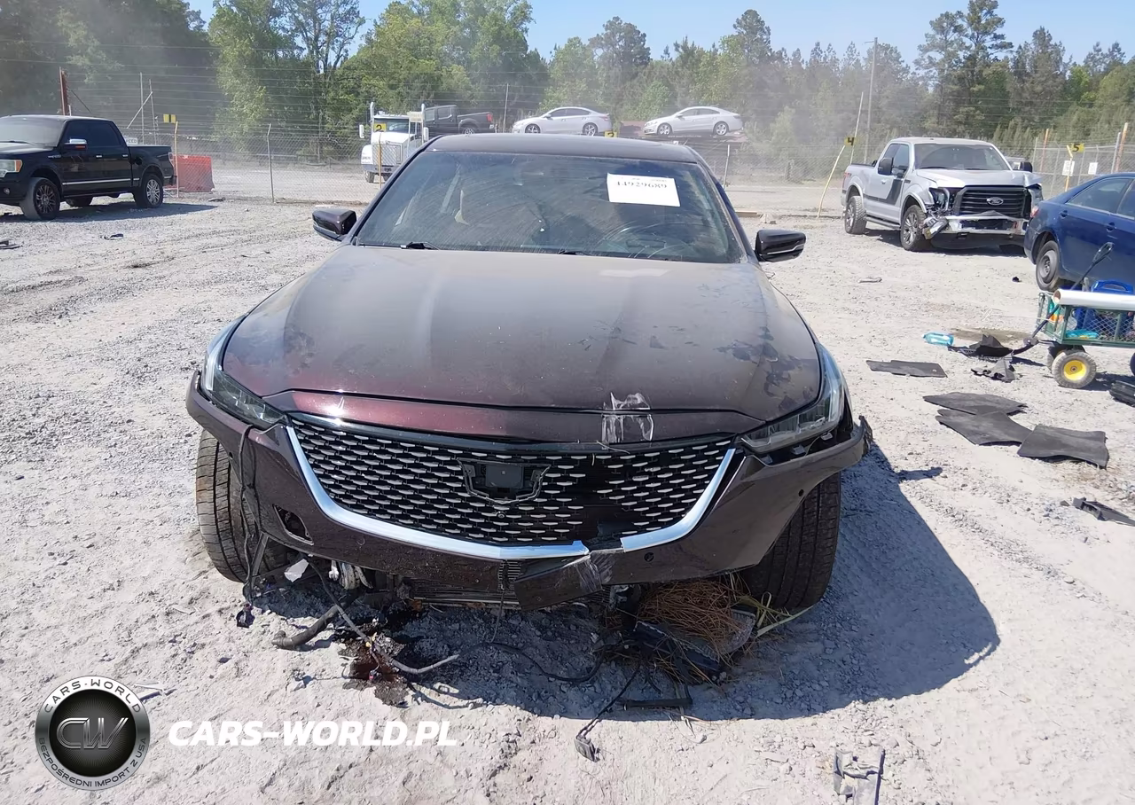 2021 Cadillac Ct5 Premium Luxury VIN:1G6DN5RW8M0143441 - 13