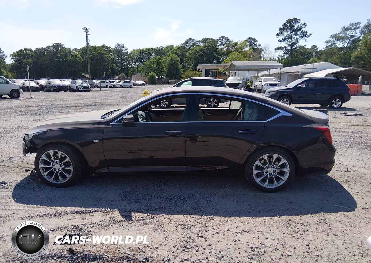 2021 Cadillac Ct5 Premium Luxury VIN:1G6DN5RW8M0143441 - 15