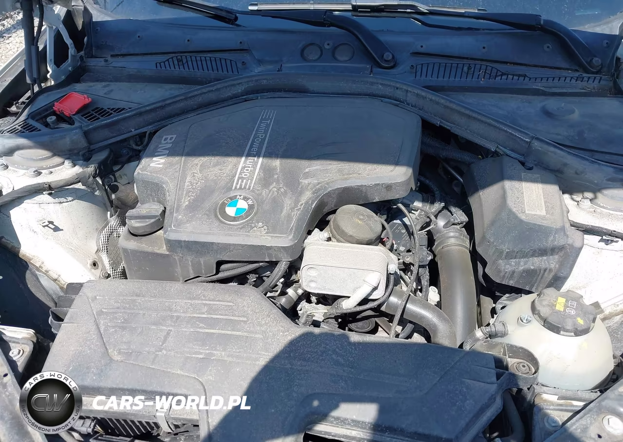 2016 BMW 228I VIN:WBA1K9C57GV321974 - 10