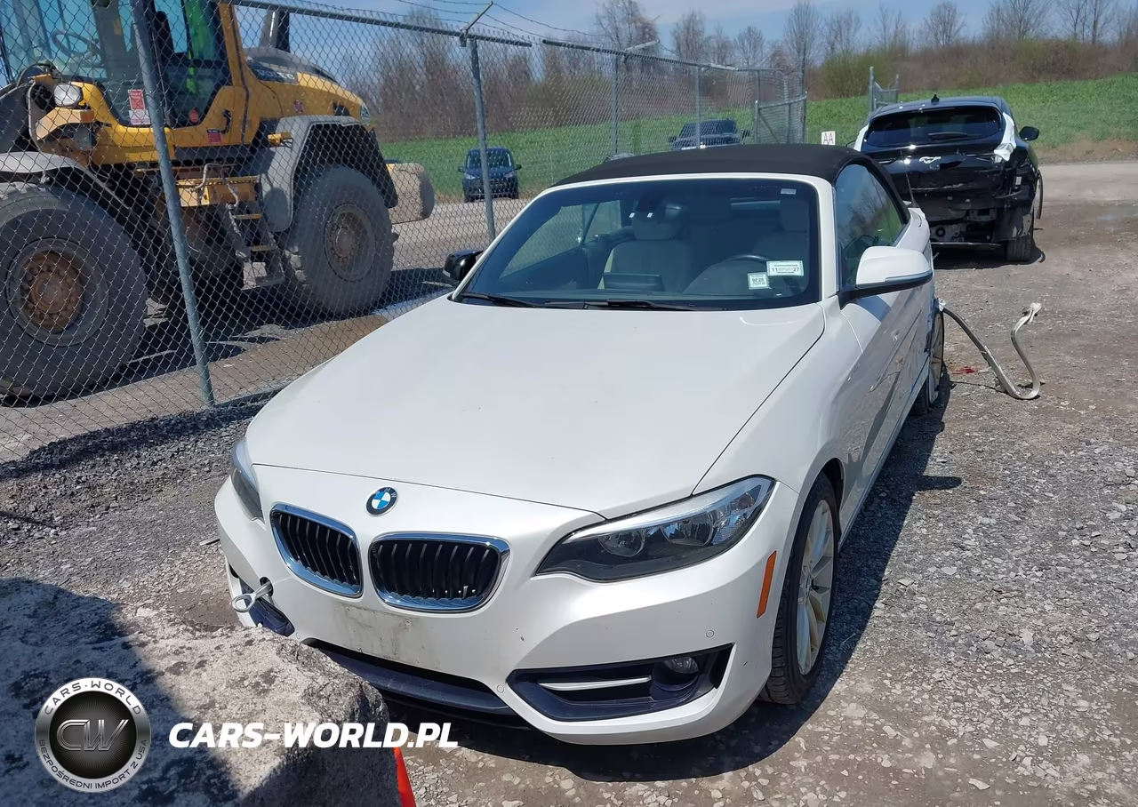 2016 BMW 228I VIN:WBA1K9C57GV321974 - 13