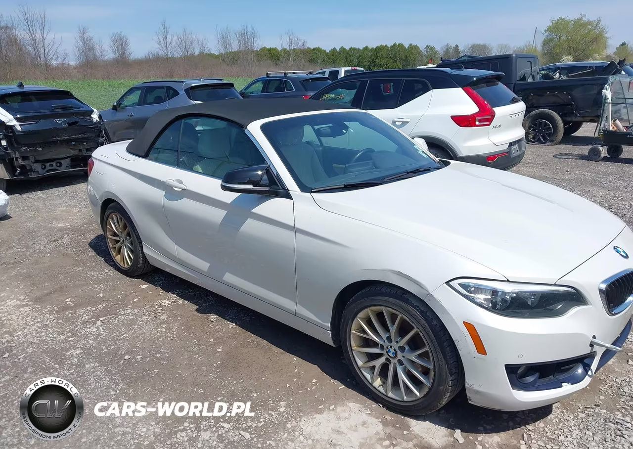 2016 BMW 228I VIN:WBA1K9C57GV321974 - 14