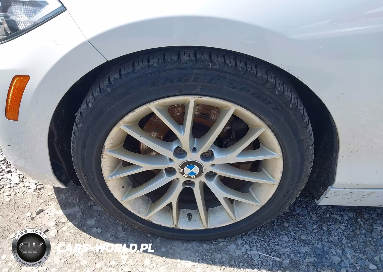 2016 BMW 228I VIN:WBA1K9C57GV321974 - 18