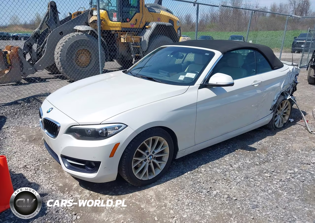 2016 BMW 228I VIN:WBA1K9C57GV321974 - 2