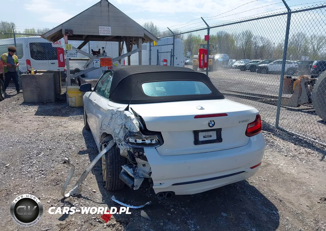 2016 BMW 228I VIN:WBA1K9C57GV321974 - 6