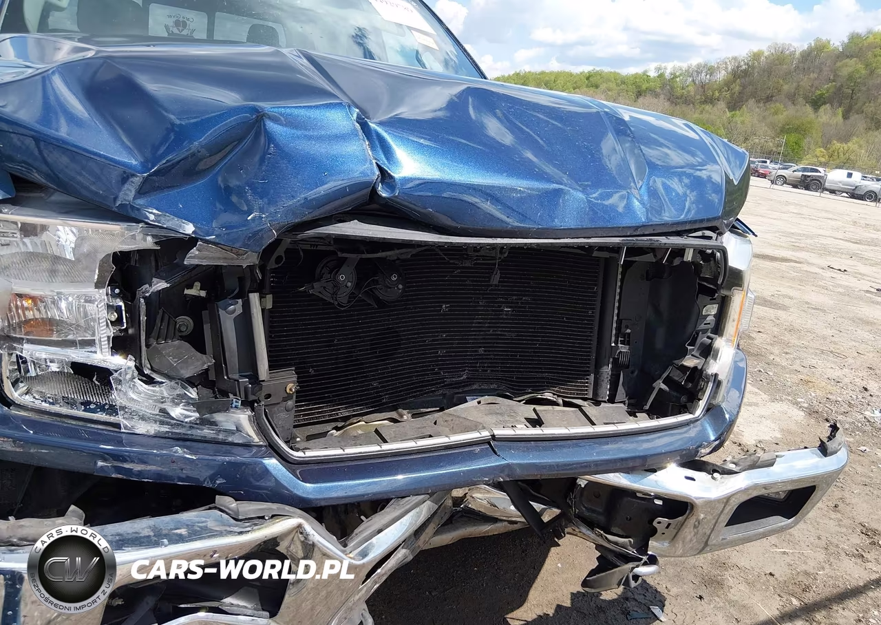 2019 Ford F-150 Xlt VIN:1FTEW1EPXKFC97665 - 12