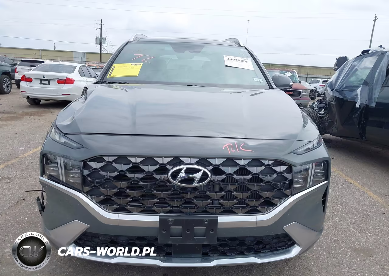 2023 Hyundai Santa Fe Calligraphy VIN:5NMS54AL1PH646927 - 12