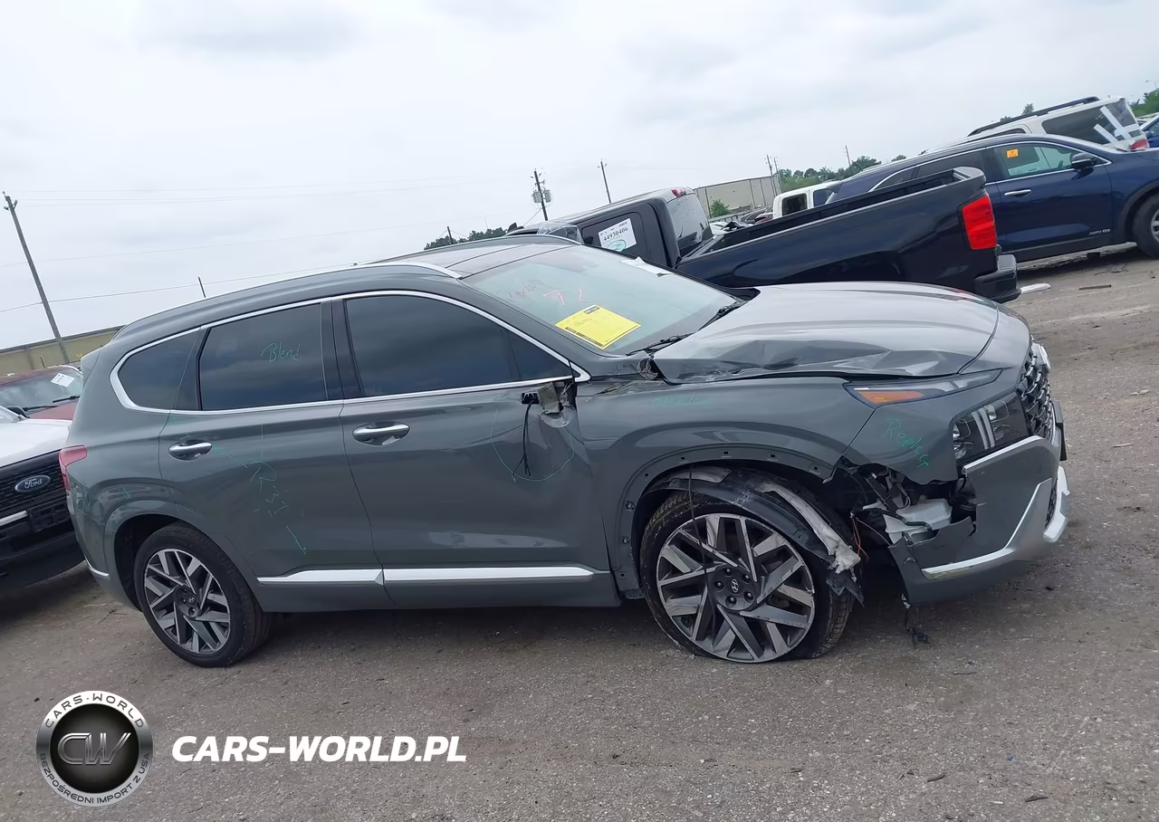 2023 Hyundai Santa Fe Calligraphy VIN:5NMS54AL1PH646927 - 13