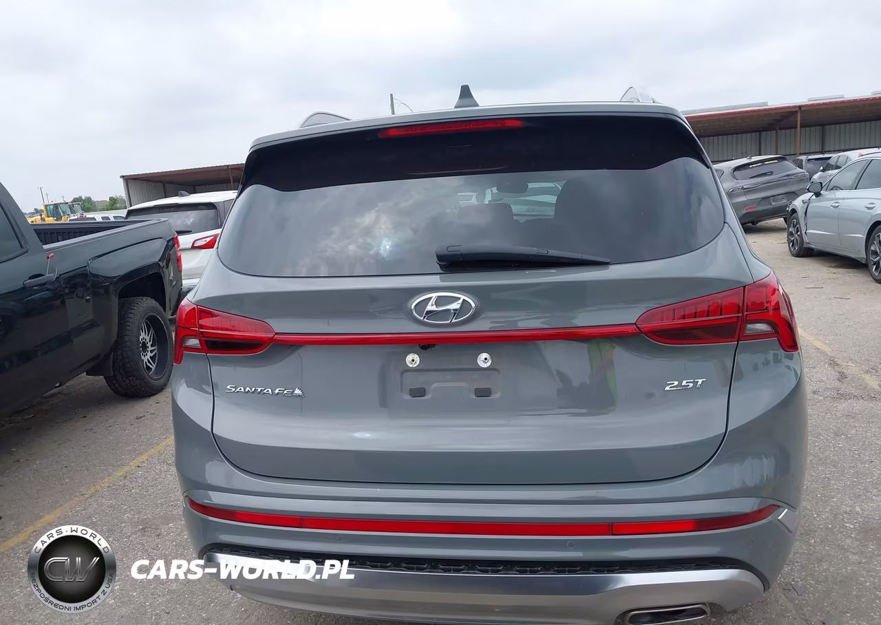 2023 Hyundai Santa Fe Calligraphy VIN:5NMS54AL1PH646927 - 16
