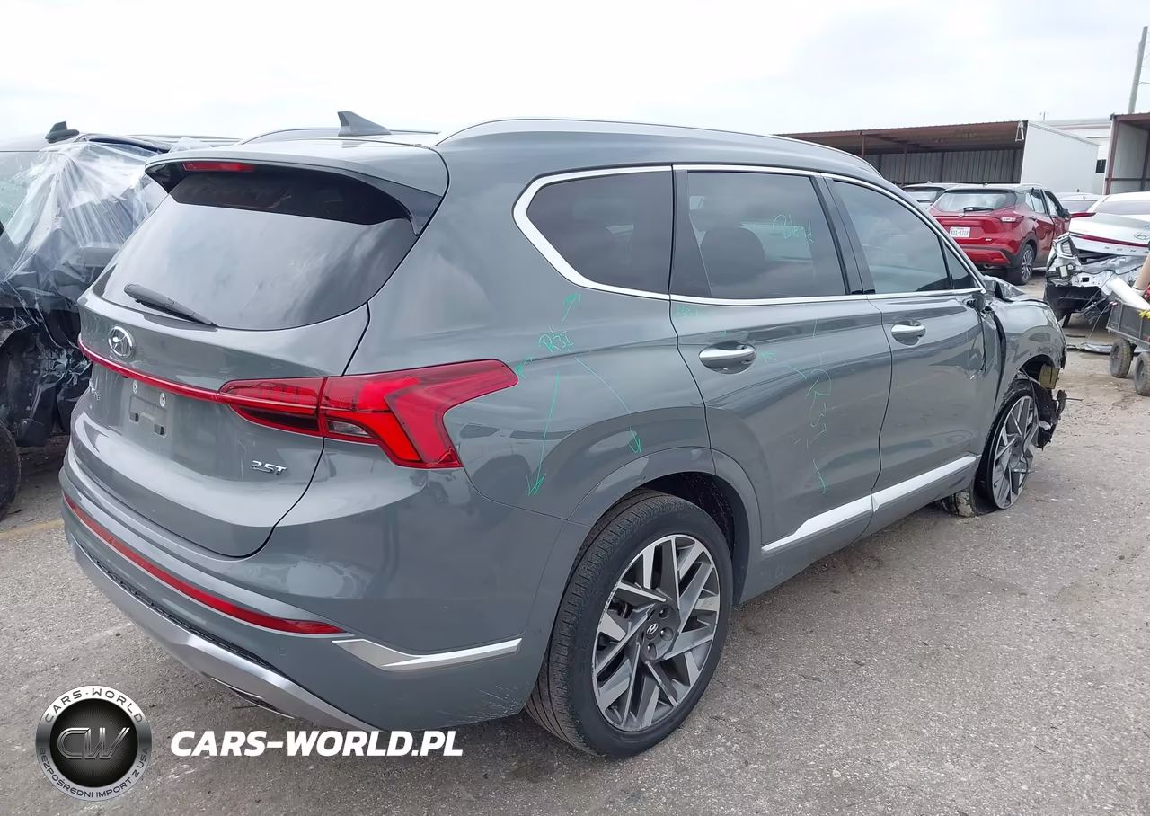 2023 Hyundai Santa Fe Calligraphy VIN:5NMS54AL1PH646927 - 4